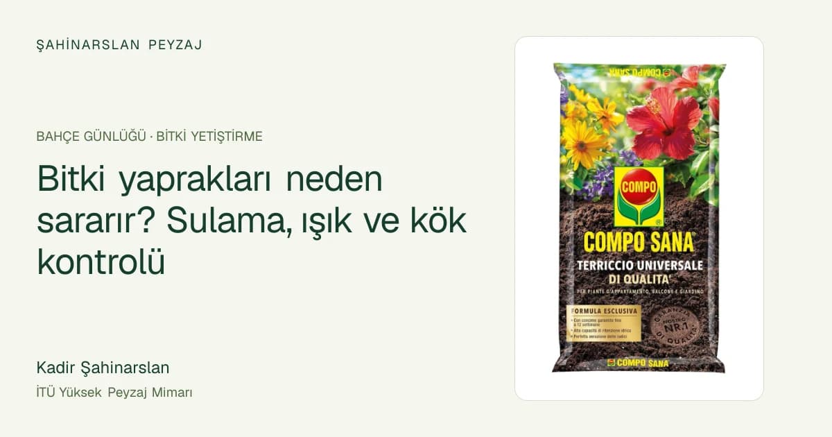 Bitki yaprakları neden sararır? Sulama, ışık ve kök kontrolü — ürün fotoğrafıyla rehber kapağı