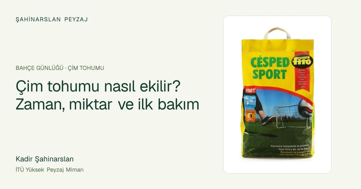 Çim tohumu nasıl ekilir? Zaman, miktar ve ilk bakım — ürün fotoğrafıyla rehber kapağı