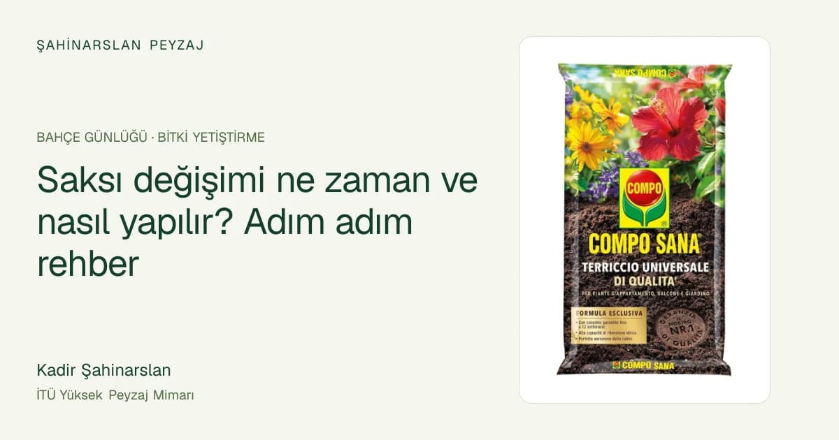 Saksı değişimi ne zaman ve nasıl yapılır? Adım adım rehber — ürün fotoğrafıyla rehber kapağı
