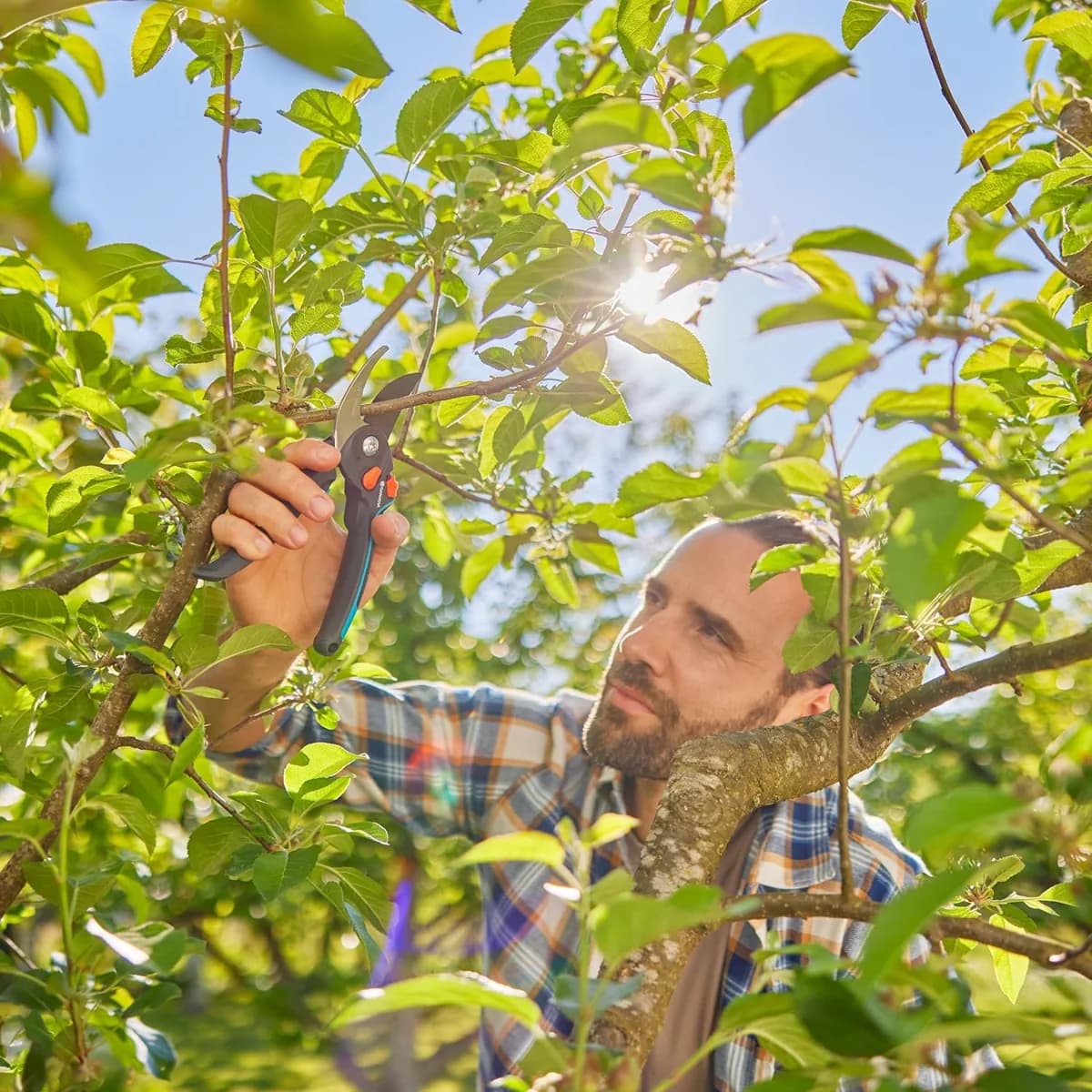 Gardena PremiumCut Pro Flex Budama Makası 12252-20 — Ağaç dalında budama örneği
