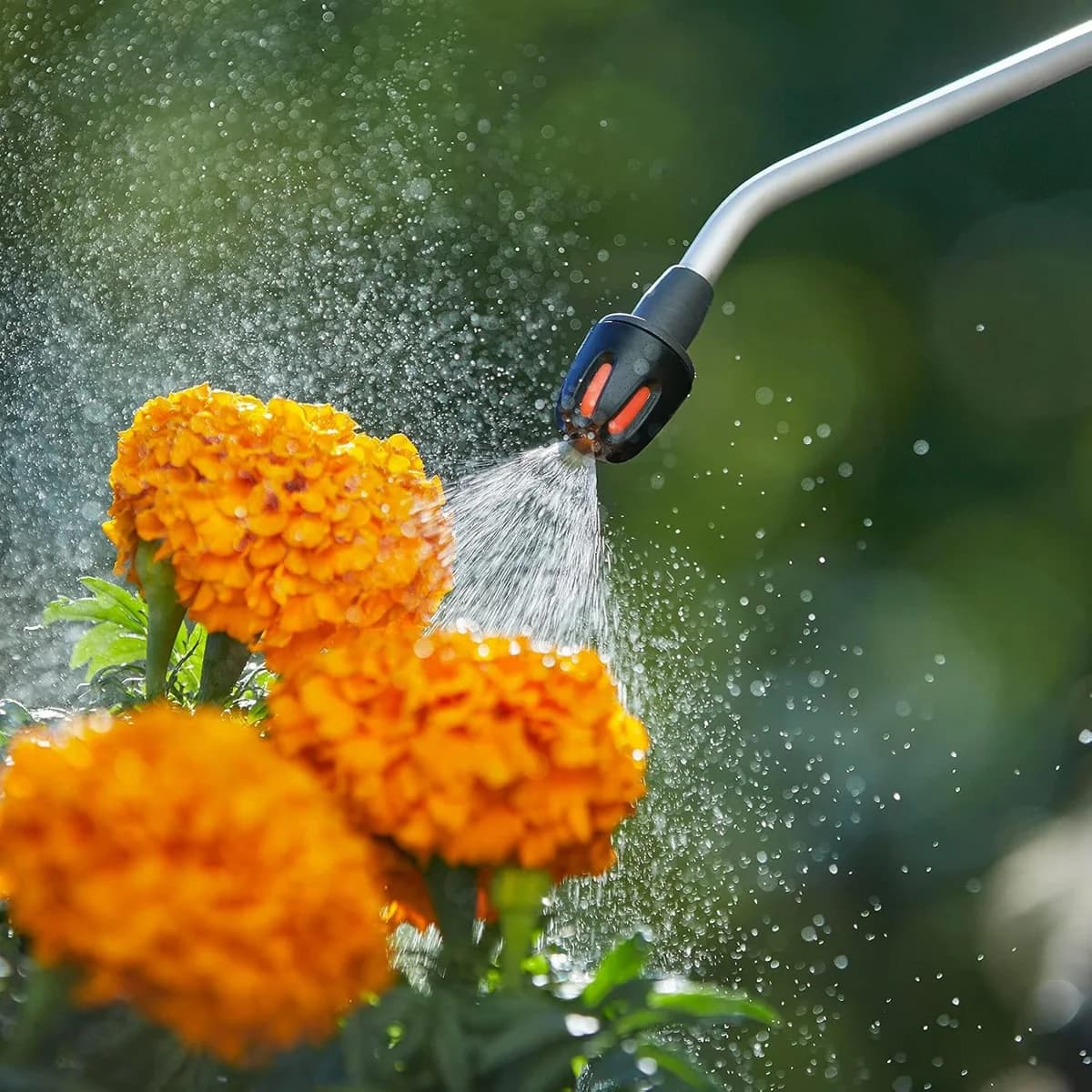 Gardena Basınçlı Püskürtücü 5 L 11130-20 — Çiçeklerde sisleme örneği