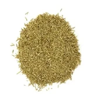DSV Lippa Special 4S Mix Çim Tohumu 10 kg