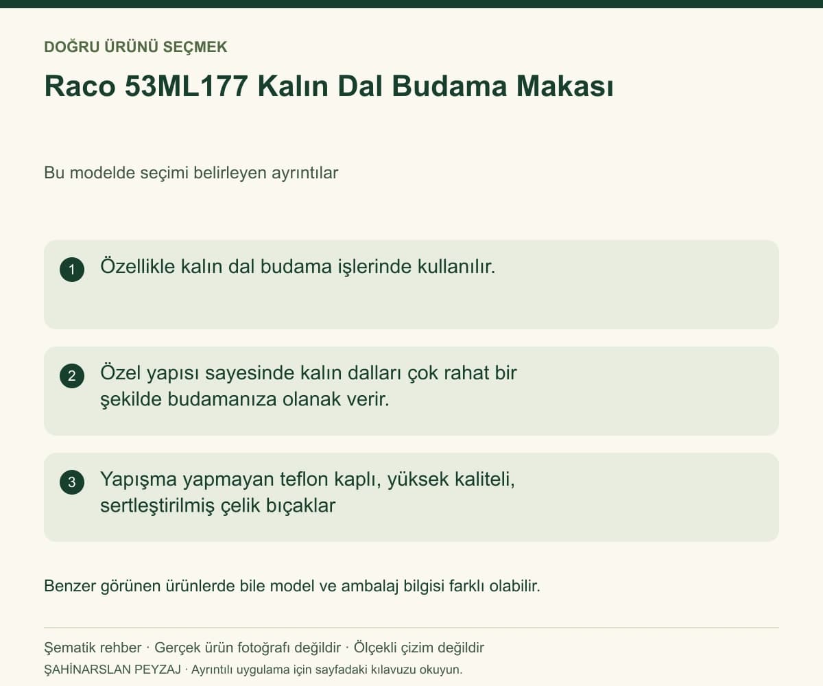 Raco 53ML177 Kalın Dal Budama Makası — Model ve seçim bilgileri — özgün şematik rehber; gerçek ürün fotoğrafı değildir