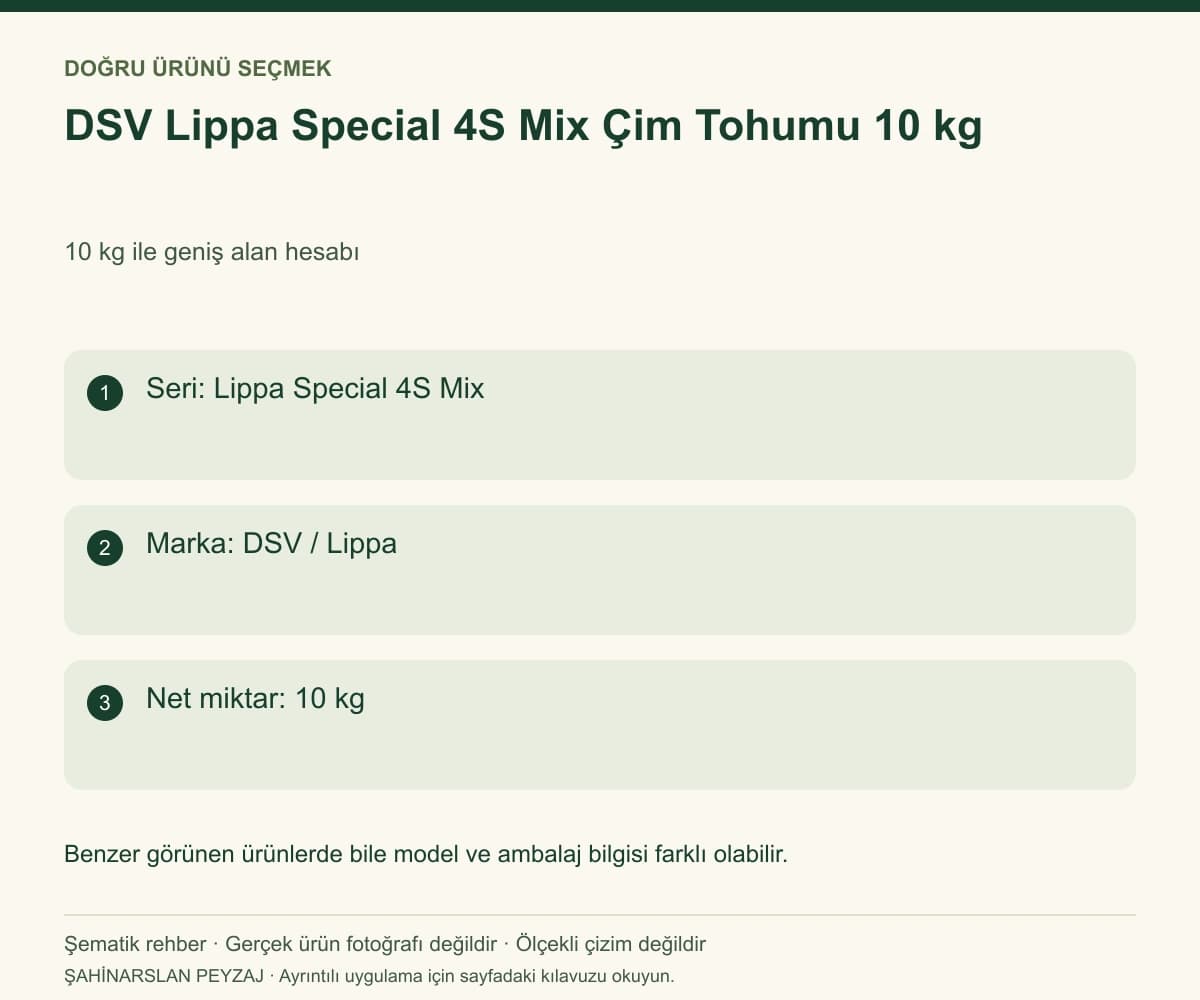 DSV Lippa Special 4S Mix Çim Tohumu 10 kg — Model ve seçim bilgileri — özgün şematik rehber; gerçek ürün fotoğrafı değildir