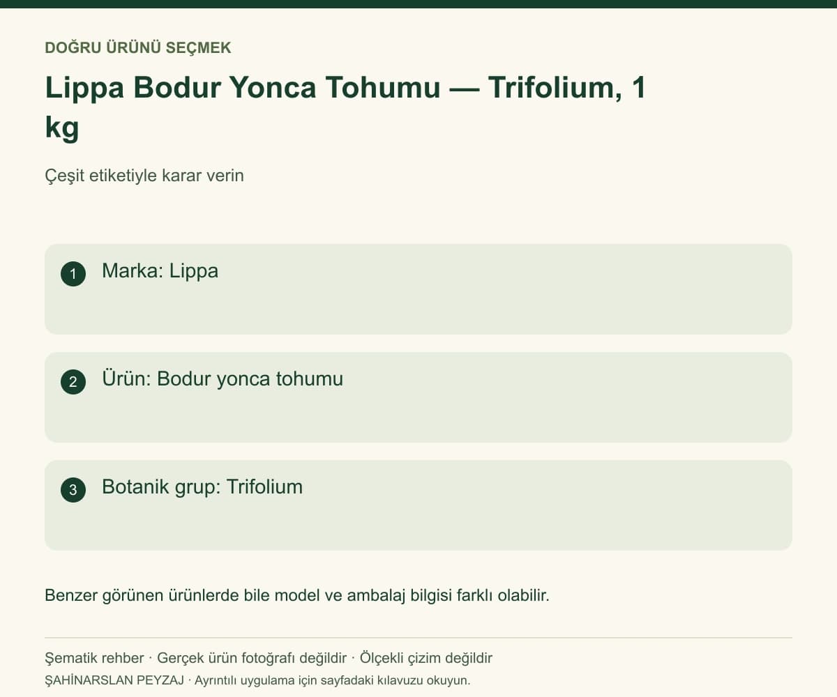 Lippa Bodur Yonca Tohumu — Trifolium, 1 kg — Model ve seçim bilgileri — özgün şematik rehber; gerçek ürün fotoğrafı değildir