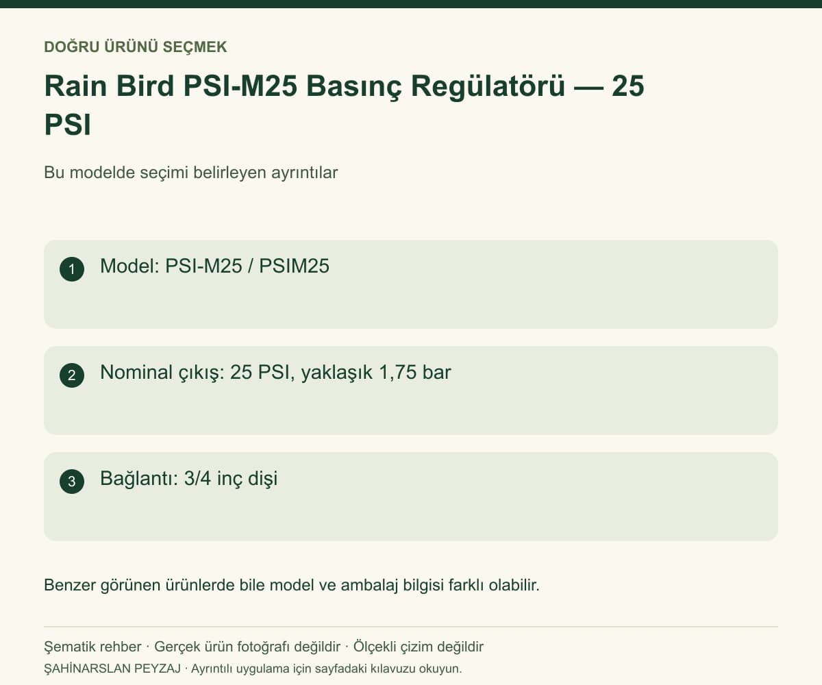 Rain Bird PSI-M25 Basınç Regülatörü — 25 PSI — Model ve seçim bilgileri — özgün şematik rehber; gerçek ürün fotoğrafı değildir