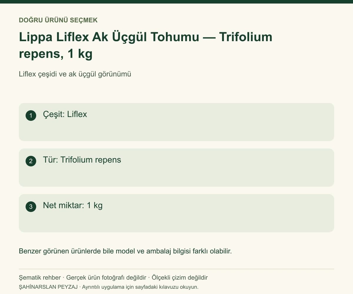 Lippa Liflex Ak Üçgül Tohumu — Trifolium repens, 1 kg — Model ve seçim bilgileri — özgün şematik rehber; gerçek ürün fotoğrafı değildir