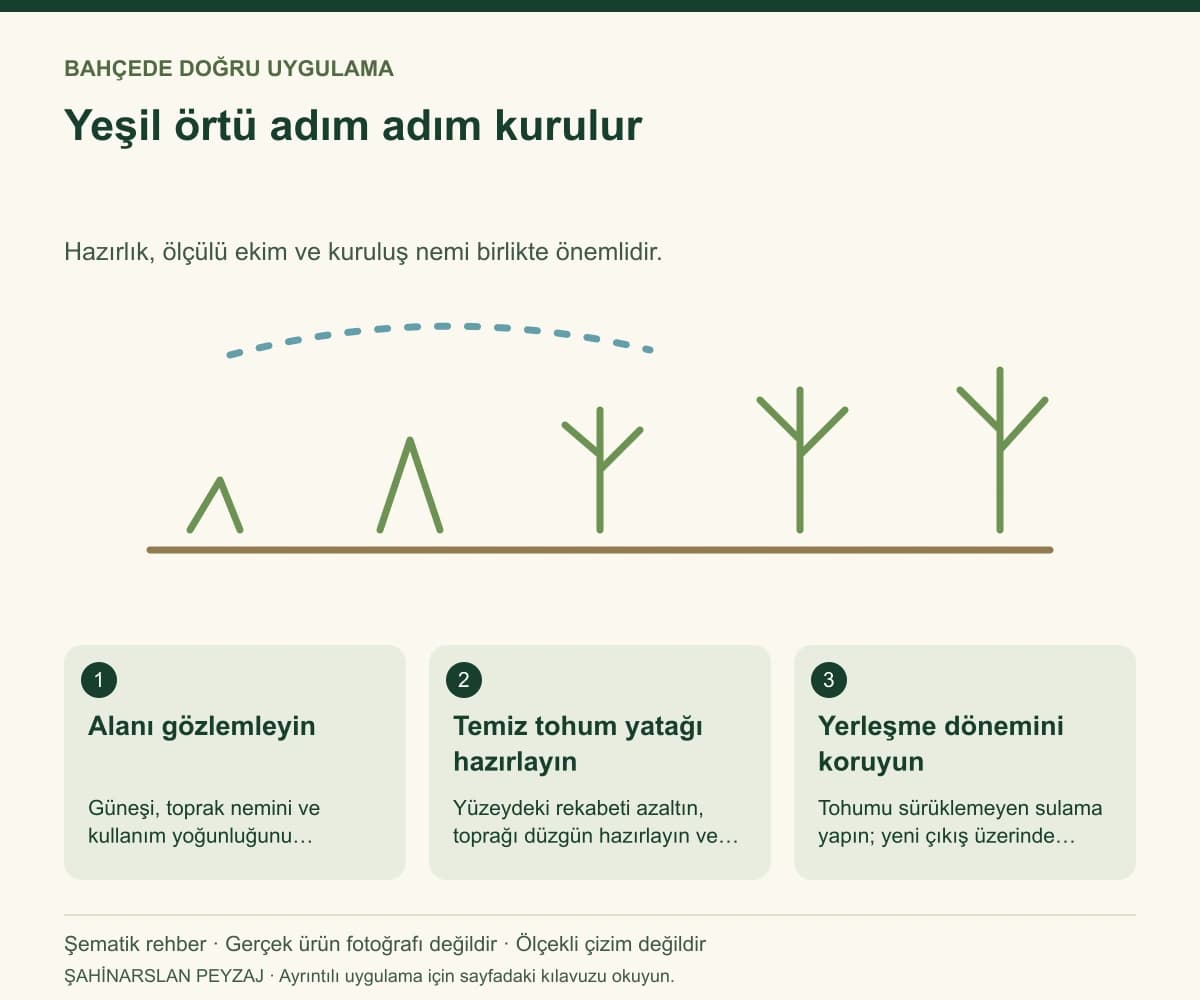 Lippa Bodur Yonca Tohumu — Trifolium, 1 kg — Yeşil örtü adım adım kurulur — özgün şematik uygulama rehberi; gerçek ürün fotoğrafı değildir