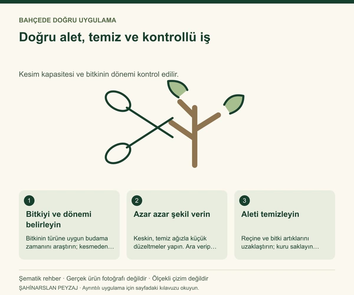 Raco 53217 Düz Bıçaklı Çim ve Çit Makası — Doğru alet, temiz ve kontrollü iş — özgün şematik uygulama rehberi; gerçek ürün fotoğrafı değildir