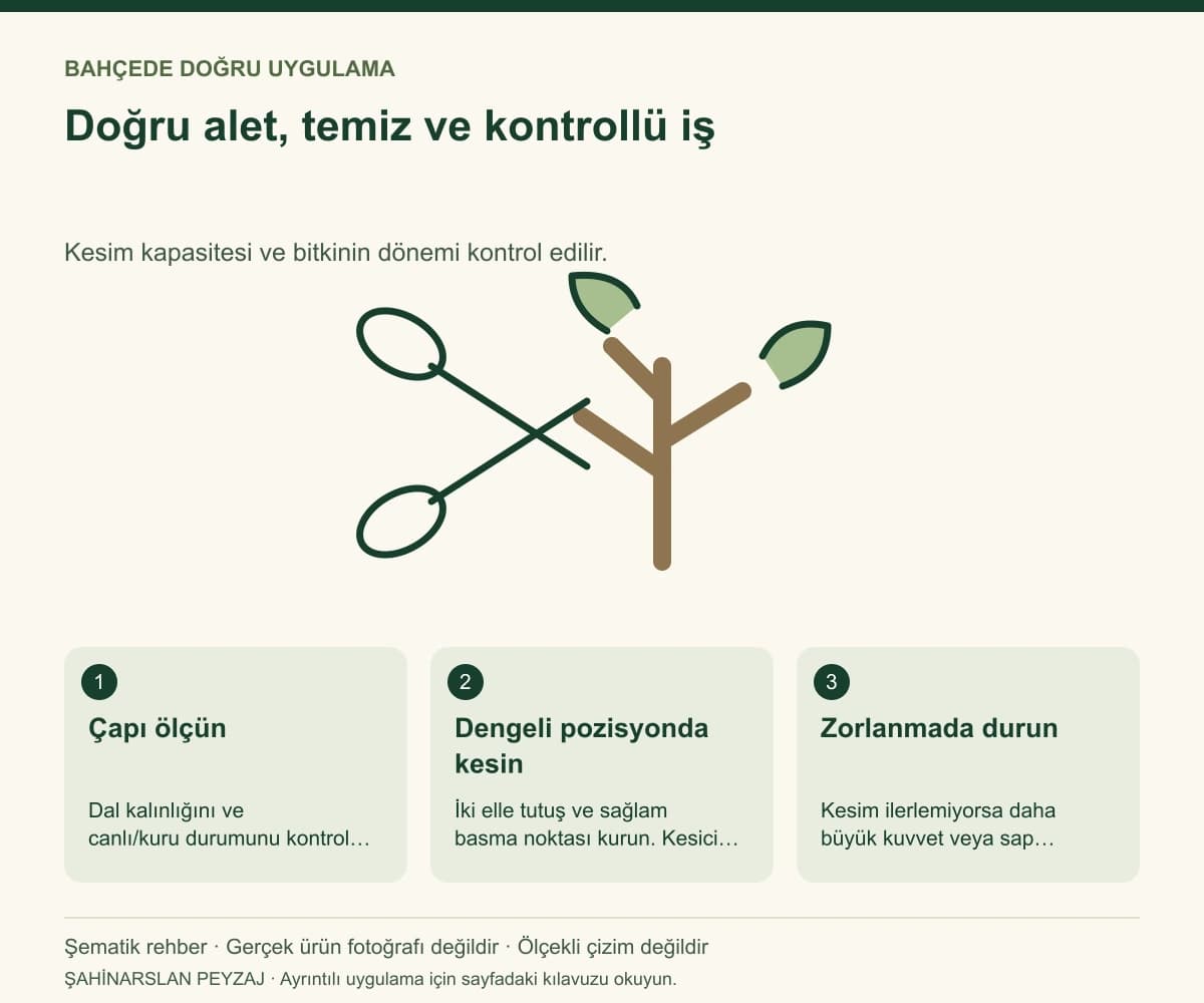 Raco 53225 Mini Kalın Dal Budama Makası — Doğru alet, temiz ve kontrollü iş — özgün şematik uygulama rehberi; gerçek ürün fotoğrafı değildir