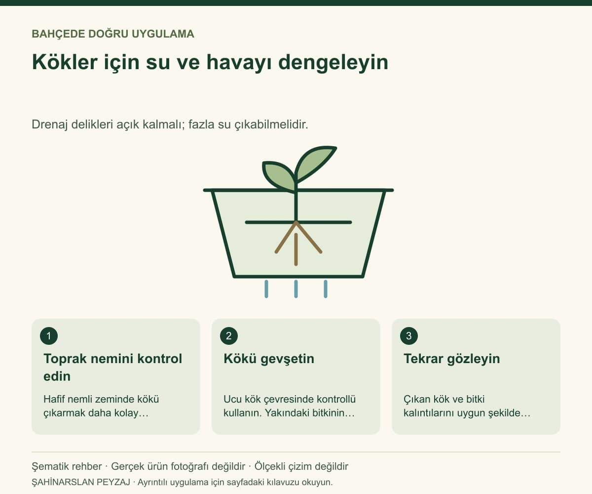 Raco 53490 Yabani Ot Sökme Aleti — Kökler için su ve havayı dengeleyin — özgün şematik uygulama rehberi; gerçek ürün fotoğrafı değildir