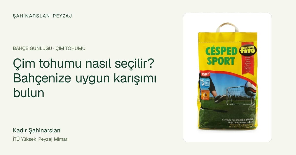 Çim tohumu nasıl seçilir? Bahçenize uygun karışımı bulun — ürün fotoğrafıyla rehber kapağı